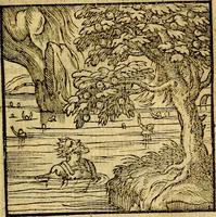 Picture 89 of 216 from Emblemata v. c. Andreae Alciati Mediolanensis iurisconsulti : cum facili & compe[n]diosa explicatione, qua obscura illustrantur, dubiáque omnia solvuntur (1584), leaf 192