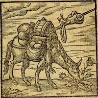Picture 90 of 216 from Emblemata v. c. Andreae Alciati Mediolanensis iurisconsulti : cum facili & compe[n]diosa explicatione, qua obscura illustrantur, dubiáque omnia solvuntur (1584), leaf 194
