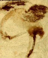 Picture 93 of 216 from Emblemata v. c. Andreae Alciati Mediolanensis iurisconsulti : cum facili & compe[n]diosa explicatione, qua obscura illustrantur, dubiáque omnia solvuntur (1584), leaf 199