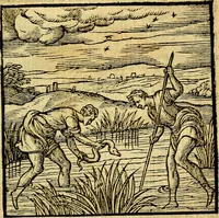 An illustration from Emblemata v. c. Andreae Alciati Mediolanensis iurisconsulti : cum facili & compe[n]diosa explicatione, qua obscura illustrantur, dubiáque omnia solvuntur (1584)