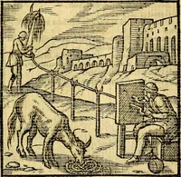 Picture 96 of 216 from Emblemata v. c. Andreae Alciati Mediolanensis iurisconsulti : cum facili & compe[n]diosa explicatione, qua obscura illustrantur, dubiáque omnia solvuntur (1584), leaf 206