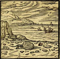 Picture 99 of 216 from Emblemata v. c. Andreae Alciati Mediolanensis iurisconsulti : cum facili & compe[n]diosa explicatione, qua obscura illustrantur, dubiáque omnia solvuntur (1584), leaf 212