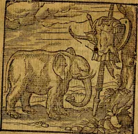 An illustration from Emblemata v. c. Andreae Alciati Mediolanensis iurisconsulti : cum facili & compe[n]diosa explicatione, qua obscura illustrantur, dubiáque omnia solvuntur (1584)