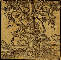 Picture 129 of 216 from Emblemata v. c. Andreae Alciati Mediolanensis iurisconsulti : cum facili & compe[n]diosa explicatione, qua obscura illustrantur, dubiáque omnia solvuntur (1584), leaf 276