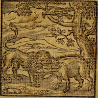 Picture 130 of 216 from Emblemata v. c. Andreae Alciati Mediolanensis iurisconsulti : cum facili & compe[n]diosa explicatione, qua obscura illustrantur, dubiáque omnia solvuntur (1584), leaf 278