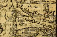 An illustration from Emblemata v. c. Andreae Alciati Mediolanensis iurisconsulti : cum facili & compe[n]diosa explicatione, qua obscura illustrantur, dubiáque omnia solvuntur (1584)