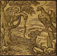 An illustration from Emblemata v. c. Andreae Alciati Mediolanensis iurisconsulti : cum facili & compe[n]diosa explicatione, qua obscura illustrantur, dubiáque omnia solvuntur (1584)