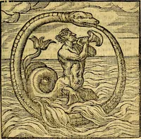Picture 137 of 216 from Emblemata v. c. Andreae Alciati Mediolanensis iurisconsulti : cum facili & compe[n]diosa explicatione, qua obscura illustrantur, dubiáque omnia solvuntur (1584), leaf 292