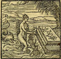 Picture 140 of 216 from Emblemata v. c. Andreae Alciati Mediolanensis iurisconsulti : cum facili & compe[n]diosa explicatione, qua obscura illustrantur, dubiáque omnia solvuntur (1584), leaf 298