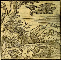 Picture 144 of 216 from Emblemata v. c. Andreae Alciati Mediolanensis iurisconsulti : cum facili & compe[n]diosa explicatione, qua obscura illustrantur, dubiáque omnia solvuntur (1584), leaf 307
