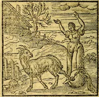 Picture 145 of 216 from Emblemata v. c. Andreae Alciati Mediolanensis iurisconsulti : cum facili & compe[n]diosa explicatione, qua obscura illustrantur, dubiáque omnia solvuntur (1584), leaf 309