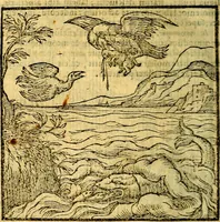 An illustration from Emblemata v. c. Andreae Alciati Mediolanensis iurisconsulti : cum facili & compe[n]diosa explicatione, qua obscura illustrantur, dubiáque omnia solvuntur (1584)