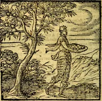 Picture 147 of 216 from Emblemata v. c. Andreae Alciati Mediolanensis iurisconsulti : cum facili & compe[n]diosa explicatione, qua obscura illustrantur, dubiáque omnia solvuntur (1584), leaf 313