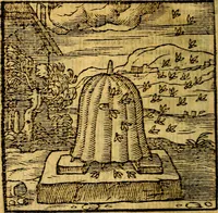 Picture 153 of 216 from Emblemata v. c. Andreae Alciati Mediolanensis iurisconsulti : cum facili & compe[n]diosa explicatione, qua obscura illustrantur, dubiáque omnia solvuntur (1584), leaf 325