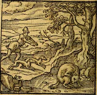 An illustration from Emblemata v. c. Andreae Alciati Mediolanensis iurisconsulti : cum facili & compe[n]diosa explicatione, qua obscura illustrantur, dubiáque omnia solvuntur (1584)