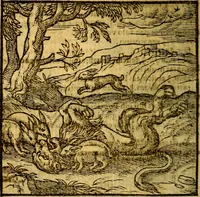 An illustration from Emblemata v. c. Andreae Alciati Mediolanensis iurisconsulti : cum facili & compe[n]diosa explicatione, qua obscura illustrantur, dubiáque omnia solvuntur (1584)
