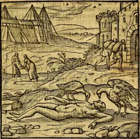 Picture 163 of 216 from Emblemata v. c. Andreae Alciati Mediolanensis iurisconsulti : cum facili & compe[n]diosa explicatione, qua obscura illustrantur, dubiáque omnia solvuntur (1584), leaf 344