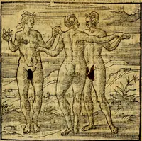 An illustration from Emblemata v. c. Andreae Alciati Mediolanensis iurisconsulti : cum facili & compe[n]diosa explicatione, qua obscura illustrantur, dubiáque omnia solvuntur (1584)