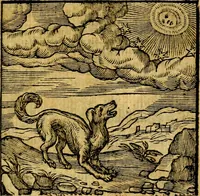 An illustration from Emblemata v. c. Andreae Alciati Mediolanensis iurisconsulti : cum facili & compe[n]diosa explicatione, qua obscura illustrantur, dubiáque omnia solvuntur (1584)