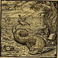 An illustration from Emblemata v. c. Andreae Alciati Mediolanensis iurisconsulti : cum facili & compe[n]diosa explicatione, qua obscura illustrantur, dubiáque omnia solvuntur (1584)