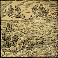 An illustration from Emblemata v. c. Andreae Alciati Mediolanensis iurisconsulti : cum facili & compe[n]diosa explicatione, qua obscura illustrantur, dubiáque omnia solvuntur (1584)