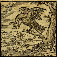 An illustration from Emblemata v. c. Andreae Alciati Mediolanensis iurisconsulti : cum facili & compe[n]diosa explicatione, qua obscura illustrantur, dubiáque omnia solvuntur (1584)
