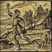 Picture 179 of 216 from Emblemata v. c. Andreae Alciati Mediolanensis iurisconsulti : cum facili & compe[n]diosa explicatione, qua obscura illustrantur, dubiáque omnia solvuntur (1584), leaf 376