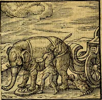 Picture 181 of 216 from Emblemata v. c. Andreae Alciati Mediolanensis iurisconsulti : cum facili & compe[n]diosa explicatione, qua obscura illustrantur, dubiáque omnia solvuntur (1584), leaf 380
