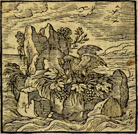 An illustration from Emblemata v. c. Andreae Alciati Mediolanensis iurisconsulti : cum facili & compe[n]diosa explicatione, qua obscura illustrantur, dubiáque omnia solvuntur (1584)
