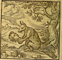 An illustration from Emblemata v. c. Andreae Alciati Mediolanensis iurisconsulti : cum facili & compe[n]diosa explicatione, qua obscura illustrantur, dubiáque omnia solvuntur (1584)