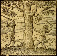 Picture 197 of 216 from Emblemata v. c. Andreae Alciati Mediolanensis iurisconsulti : cum facili & compe[n]diosa explicatione, qua obscura illustrantur, dubiáque omnia solvuntur (1584), leaf 415