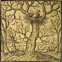 Picture 198 of 216 from Emblemata v. c. Andreae Alciati Mediolanensis iurisconsulti : cum facili & compe[n]diosa explicatione, qua obscura illustrantur, dubiáque omnia solvuntur (1584), leaf 417