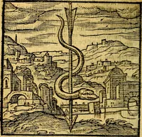 Picture 24 of 216 from Emblemata v. c. Andreae Alciati Mediolanensis iurisconsulti : cum facili & compe[n]diosa explicatione, qua obscura illustrantur, dubiáque omnia solvuntur (1584), leaf 61