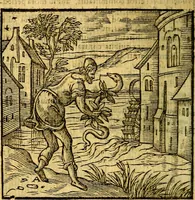An illustration from Emblemata v. c. Andreae Alciati Mediolanensis iurisconsulti : cum facili & compe[n]diosa explicatione, qua obscura illustrantur, dubiáque omnia solvuntur (1584)