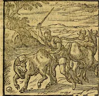 Picture 38 of 216 from Emblemata v. c. Andreae Alciati Mediolanensis iurisconsulti : cum facili & compe[n]diosa explicatione, qua obscura illustrantur, dubiáque omnia solvuntur (1584), leaf 92