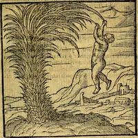 Picture 40 of 216 from Emblemata v. c. Andreae Alciati Mediolanensis iurisconsulti : cum facili & compe[n]diosa explicatione, qua obscura illustrantur, dubiáque omnia solvuntur (1584), leaf 96