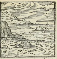 Picture 13 of 31 from Emblemata V.C. Andreæ Alciati Mediolanensis ivrisconsvlti : cum facii & compendiosa explicatione, quâ obscura illustrantur, dubiaq́ue omnia soluuntur (1648), leaf 109