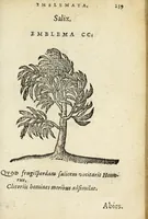 Picture 29 of 31 from Emblemata V.C. Andreæ Alciati Mediolanensis ivrisconsvlti : cum facii & compendiosa explicatione, quâ obscura illustrantur, dubiaq́ue omnia soluuntur (1648), leaf 235