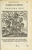 Picture 6 of 31 from Emblemata V.C. Andreæ Alciati Mediolanensis ivrisconsvlti : cum facii & compendiosa explicatione, quâ obscura illustrantur, dubiaq́ue omnia soluuntur (1648), leaf 39