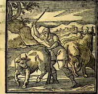 An illustration from Emblemata v. cl. Andreae Alciati : cū imaginibus plerisque restitutis ad mentem auctoris (1618)