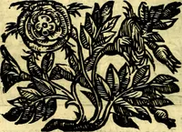 Picture 66 of 298 from Emblemata v. cl. Andreae Alciati : cū imaginibus plerisque restitutis ad mentem auctoris (1618), leaf 133