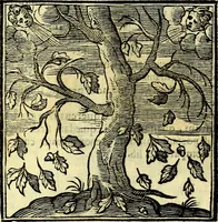 An illustration from Emblemata v. cl. Andreae Alciati : cū imaginibus plerisque restitutis ad mentem auctoris (1618)