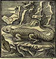 An illustration from Emblemata v. cl. Andreae Alciati : cū imaginibus plerisque restitutis ad mentem auctoris (1618)