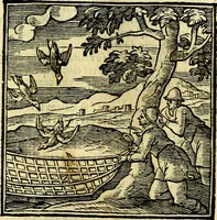 An illustration from Emblemata v. cl. Andreae Alciati : cū imaginibus plerisque restitutis ad mentem auctoris (1618)