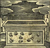 Picture 83 of 298 from Emblemata v. cl. Andreae Alciati : cū imaginibus plerisque restitutis ad mentem auctoris (1618), leaf 152