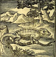 Picture 85 of 298 from Emblemata v. cl. Andreae Alciati : cū imaginibus plerisque restitutis ad mentem auctoris (1618), leaf 155