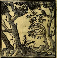 Picture 94 of 298 from Emblemata v. cl. Andreae Alciati : cū imaginibus plerisque restitutis ad mentem auctoris (1618), leaf 165