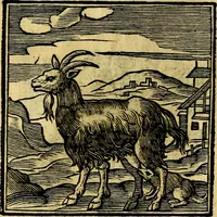 An illustration from Emblemata v. cl. Andreae Alciati : cū imaginibus plerisque restitutis ad mentem auctoris (1618)