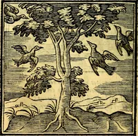 Picture 111 of 298 from Emblemata v. cl. Andreae Alciati : cū imaginibus plerisque restitutis ad mentem auctoris (1618), leaf 185