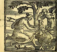 Picture 117 of 298 from Emblemata v. cl. Andreae Alciati : cū imaginibus plerisque restitutis ad mentem auctoris (1618), leaf 193